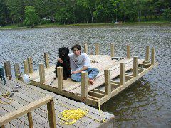 Barge, Dog, Contractor